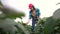 farmer in field with soybeans. agriculture business farm concept. young farmer walks through the field looking at