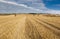 Farmer field,Yorkshire, stacked straw balesc