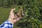 Farmer fruit grower controls the pear