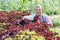 Farmer gardening on plantation