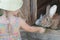 Farmer girl feeding cute domestic rabbits with grass