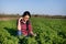 Farmer girl in lucerne field