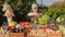 A farmer girl puts organic vegetables in a paper bag