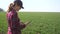 Farmer girl red neck with a digital tablet walks on a green field. Eco farming agriculture concept. Woman worker studies