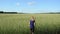 Farmer girl wheat field