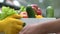 Farmer giving box with fresh vegetables, green grocery, agricultural business