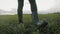 Farmer goes with rubber boots along green field. Rubber boots for work use. A worker go with his rubber boots at sunset