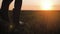 Farmer goes with rubber boots along green field. Rubber boots for work use. A worker go with his rubber boots at sunset