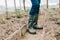Farmer in green rubber boots  legs in a close-up.