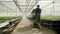 Farmer in a greenhouse with modern technology for growing vegetables