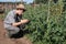 Farmer guy in his vegetable garden