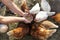 The farmer hand-feeds his hens with grain.