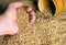 Farmer hand holds a grain of wheat. Grain selection before sowing. Harvesting a good harvest