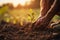 farmer hand planting seed