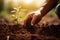 farmer hand planting seed