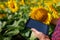 Farmer hand with tablet in sunflower field