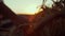 Farmer hand touching wheat spikelets at sunset closeup. Grain harvest field view