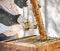 Farmer hands, beekeeper brush or honey box harvesting on sustainability agriculture land, countryside farm or healthy