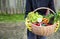 Farmer hands with fresh organic vegetables basket, local farmers market concept, healthy local produced food