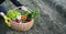 Farmer hands with fresh organic vegetables basket, local farmers market concept, healthy local produced food