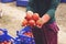 farmer hands in gloves holding several ripe tomatoes. Woman examines tomato in hand.