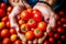 Farmer hands holding fresh ripe tomatoes. selective focus. toned. Generative AI