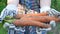 Farmer hands holding harvested ripe carrots