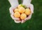 Farmer hands holding ripe apricots