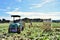 Farmer harvest cabbage in farm with reaping machine in Japan Kagoshima Sakurajima