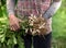 Farmer harvest peanut