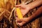 Farmer with harvest ready ripe corn maize cob in field