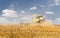 Farmer at Harvest work