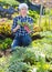 farmer harvesting artichokes in the garden