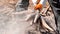 Farmer harvesting cassava