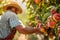 Farmer harvesting fresh organic red peaches in the garden on a sunny day. Freshly picked fruits. close-up