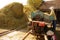 Farmer harvesting paddy grain by threshing machine