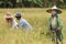 Farmer harvesting rice