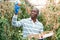 Farmer harvesting tomatoes