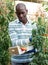 Farmer harvesting tomatoes