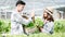 Farmer harvesting vegetable organic salad, lettuce from the hydroponic farm for customers and make hi-five