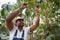 A farmer harvests coffee berries on his plantation in africa, person at work