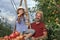 Farmer and His Little Daughter on Orchard Ladder Looking at Camera