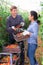 Farmer with Hispanic wife harvesting tomatoes in greenhouse