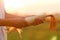 Farmer hold corn on hand at sunset background