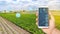 Farmer hold a smartphone on a background of a field with a pepper plantations. Agricultural startup. Automation and crop quality
