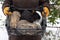 Farmer holding basket with rabbits. Farm animals.