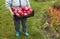 The farmer is holding a harvest of red ripe apples