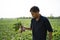 Farmer holding harvested radish, close up of hand