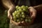 Farmer holding in his hands a bunch of freshly picked grapes. Ai generative