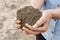 Farmer holding pile of arable soil female agronomist examining q